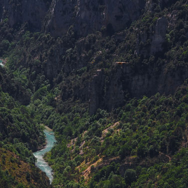A vulture flying over the River Verdon in the Gorges du Verdon, France