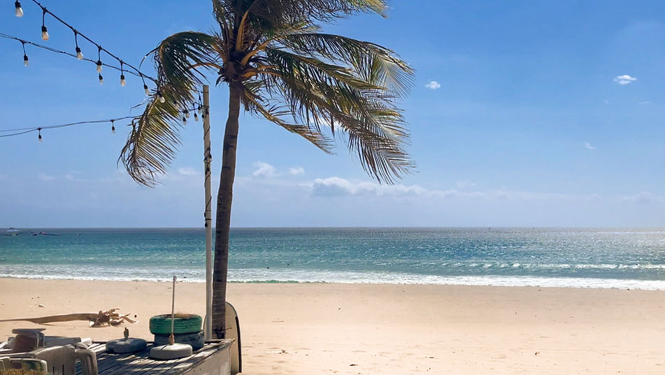 A palm tree sways over smooth white sands at Nanwan Beach (AKA South Bay) in Kenting.