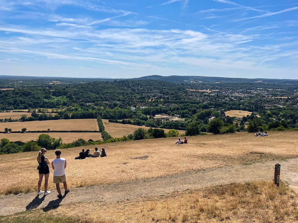 Several groups of people admire the views from the top of Box Hill in Surrey, near London. The fields are brown because of the hot summer, but there are still many green trees spread across the surrounding area