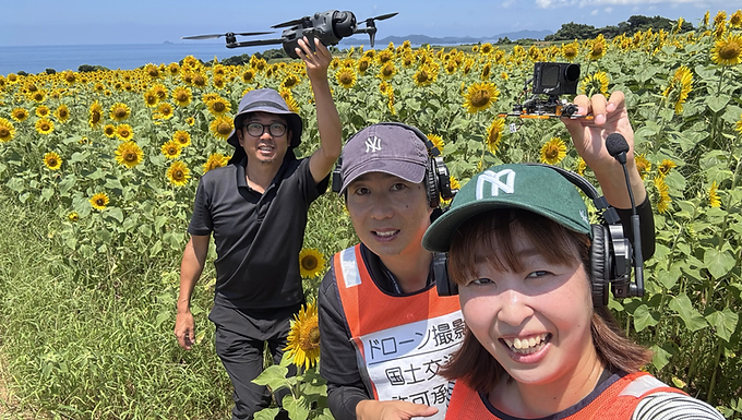 長島町空撮ひまわりと黒之瀬戸大橋