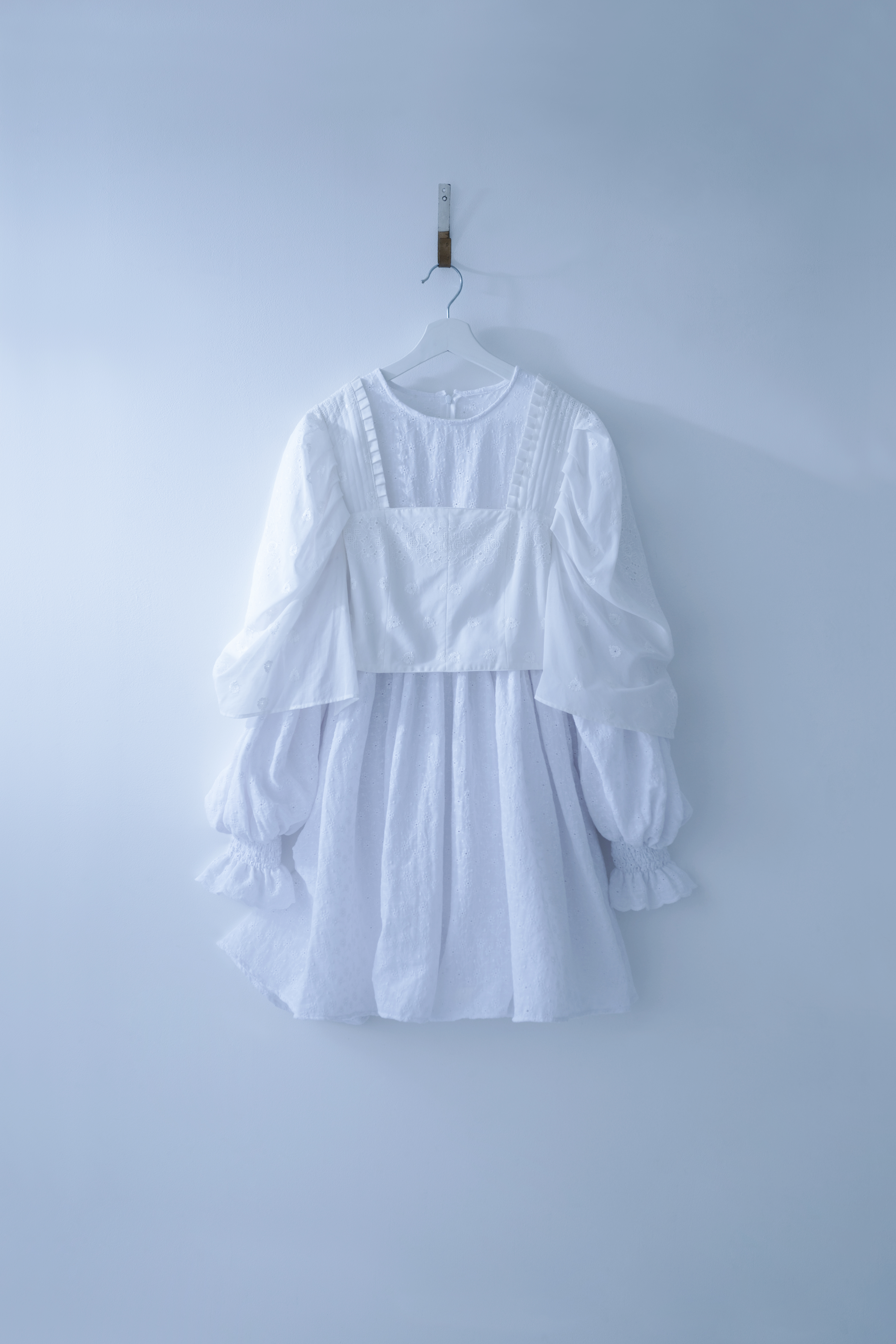 aki61471a のコピー.jpg