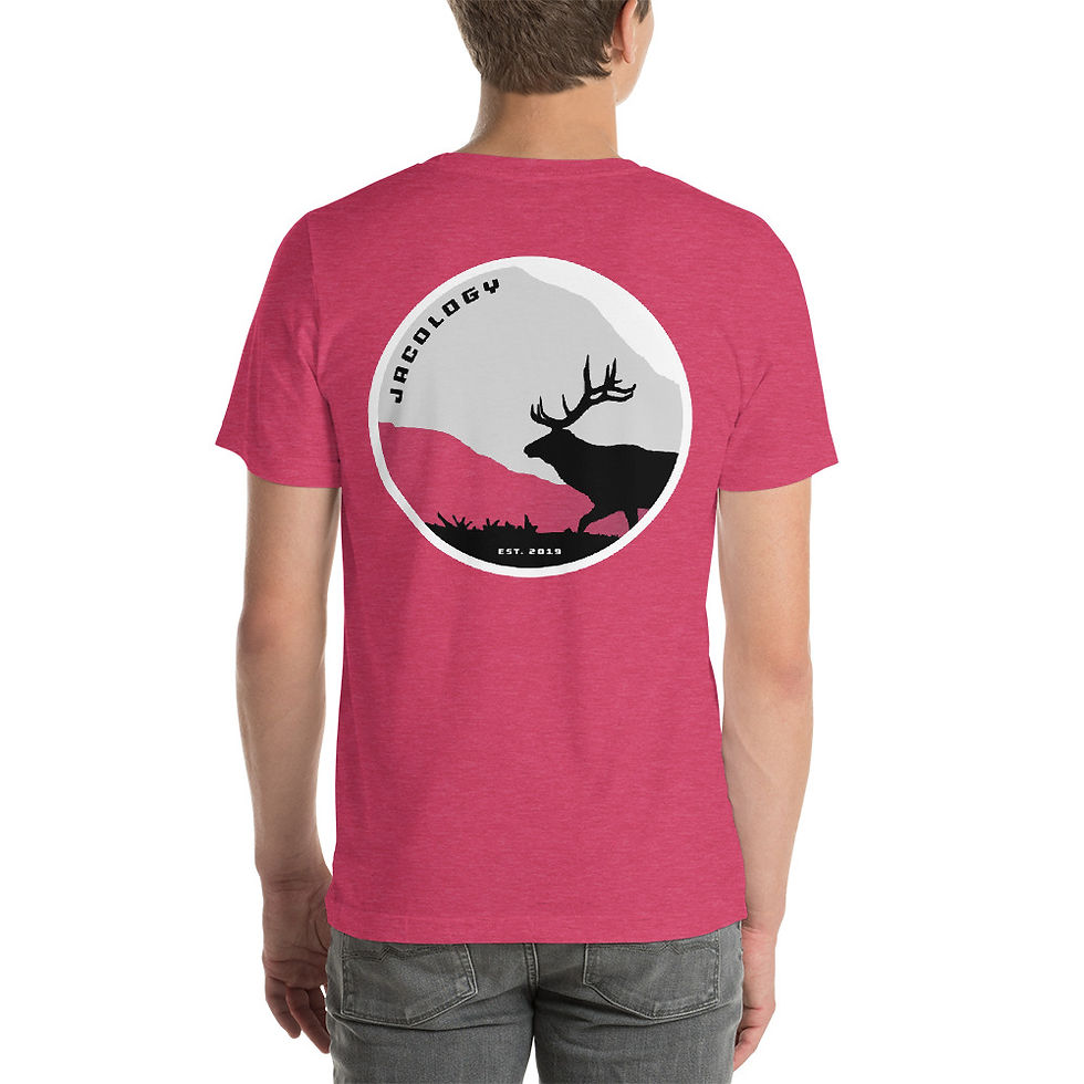 Thumbnail: Elk Mountain