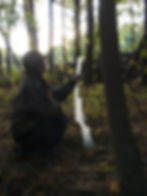 Hunting for Animal Spirits