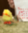 Even the little chick joined