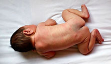 12. macha mongólica.jpg