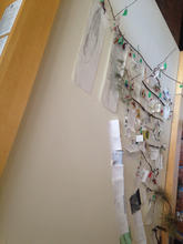 IMG_3365.jpeg