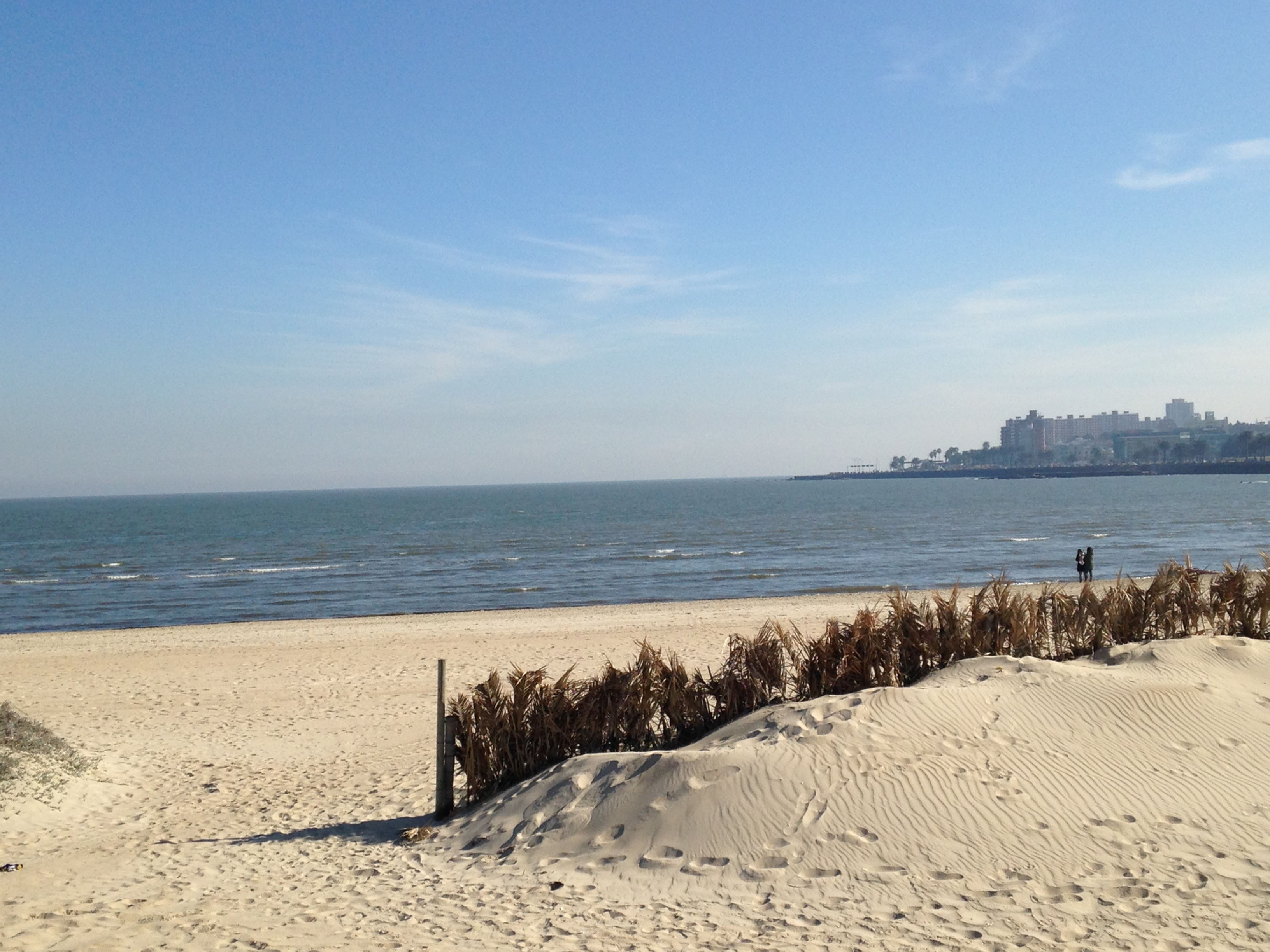 "Si se calla el cantor" (cover)