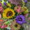 Thumbnail: Summer Flower Bouquet Subscription July- August starting at $50