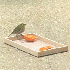 悲しみも〜喜びも抱きしめて〜♩