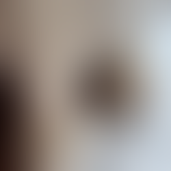 代筆します(=^x^=)