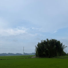 お手紙、ありがとうございます✨