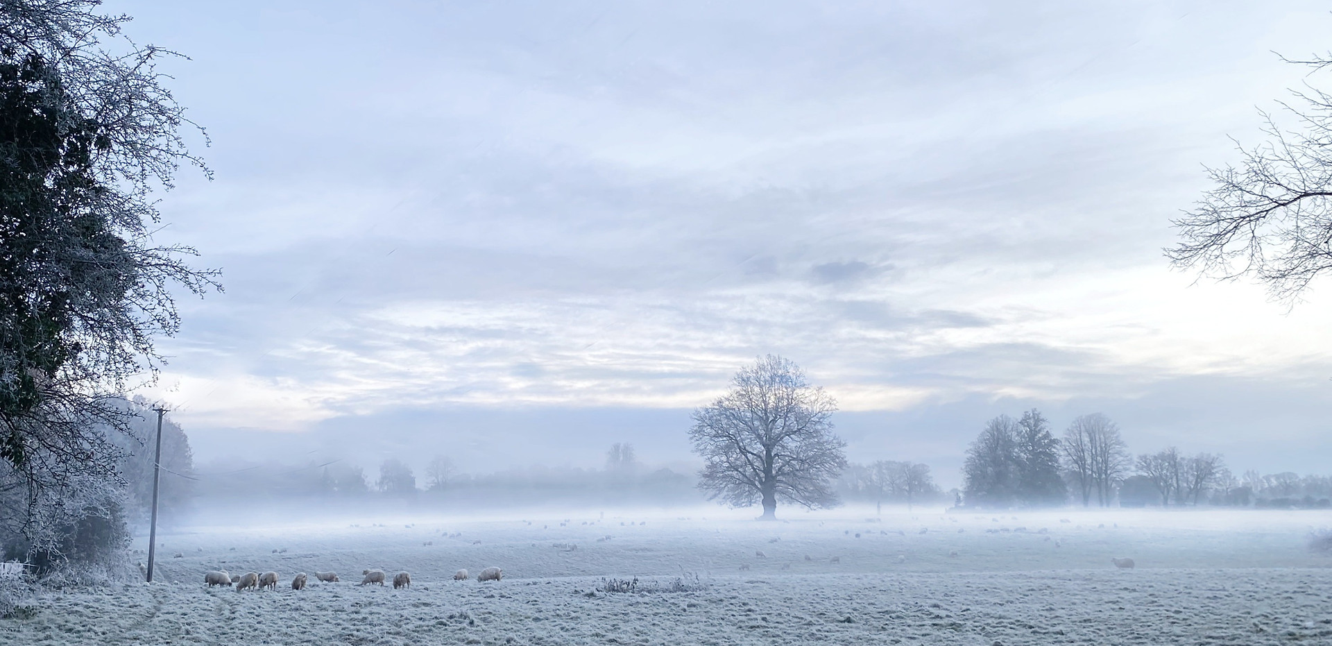 A photo of a Winter dawn. Frost and morning mist cover the farmland and trees in Godalming UK
