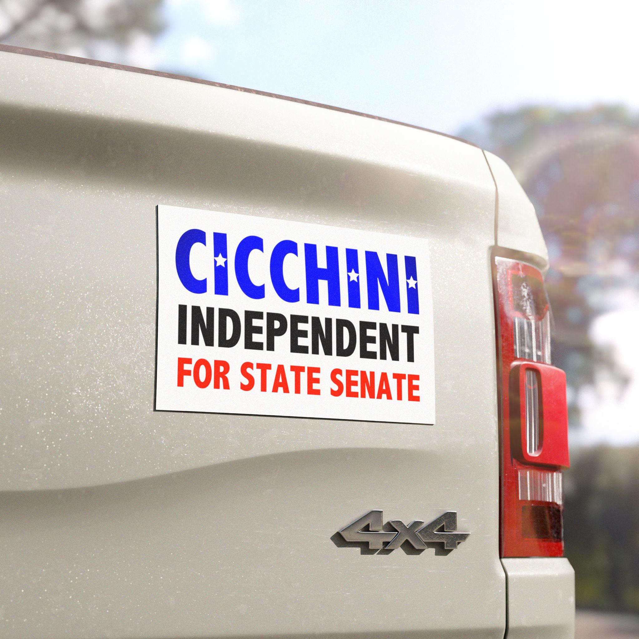 CICCHINI INDEPENDENT FOR STATE SENATE Political Campaign Car Magnet 