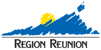 logo-region-reunion-institutionnel-02.webp