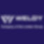 Weldy Heat Gun