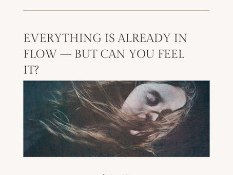 Everything is Already in Flow — But Can You Feel It?