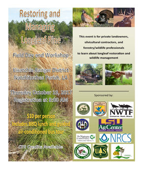 Restoring and Managing Longleaf Pine