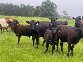 Connecting with the Land – Baker 4 Farm