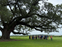 Louisiana GLCI hosts CEMA 216 Soil Test Workshop, June 8