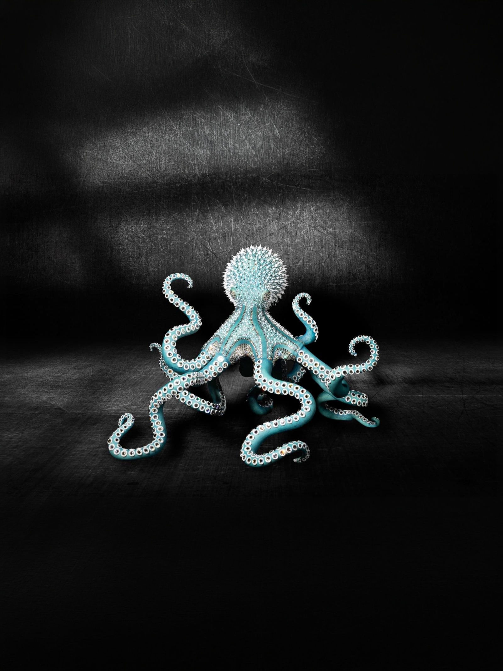 THE OCTOPUS