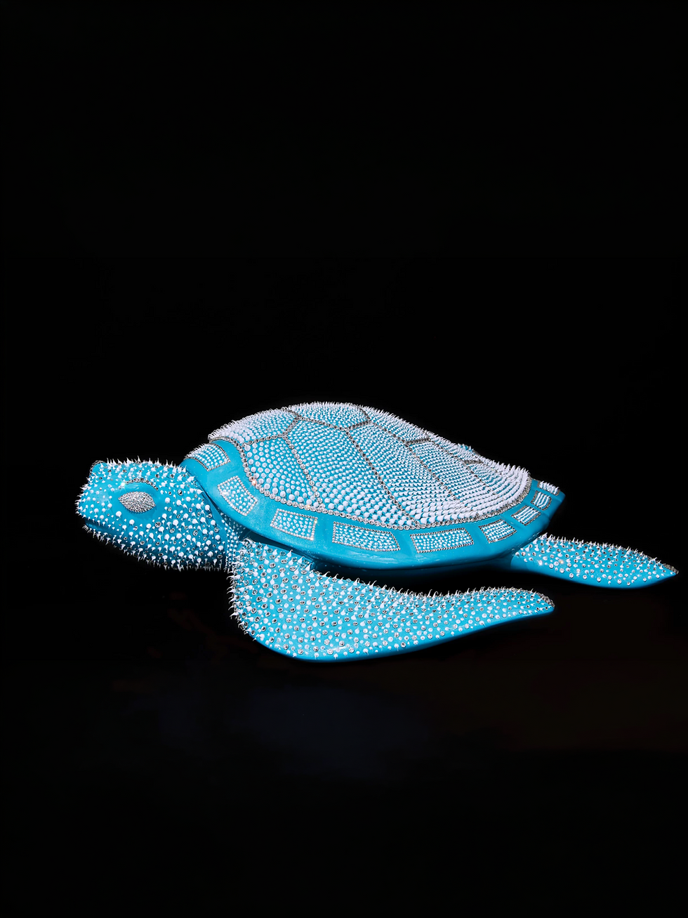 Thumbnail: THE TURTLE