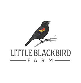 Little Blackbird Farm