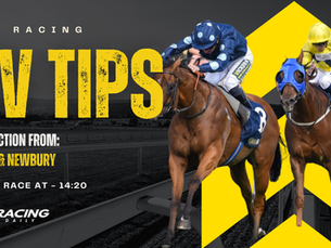 TV TIPS (FRIDAY)