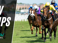 TV TIPS (SATURDAY)