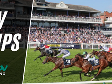 TV TIPS (SATURDAY)