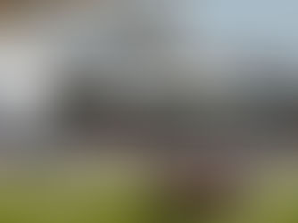 TAKE OUR ADVICE AT CATTERICK