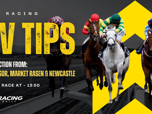 TV TIPS (FRIDAY)