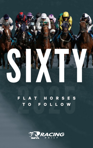 Ahead On The Flat: The Top Flat Horses To Follow