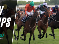 TV TIPS (FRIDAY)