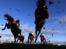 TUESDAY RACING TIPS