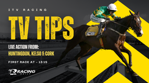 TV TIPS (SUNDAY)