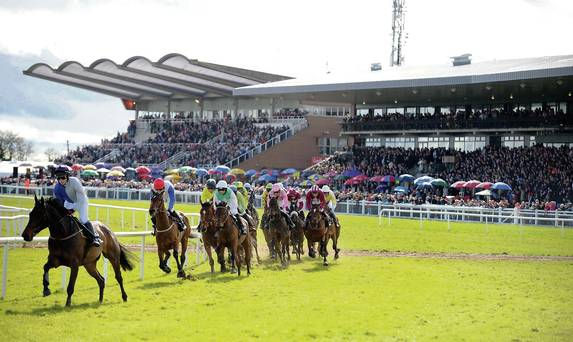 Fairyhouse 2.jpg