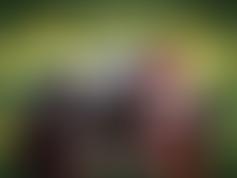 CHELTENHAM FESTIVAL 2026 - WEDNESDAY