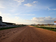 MONDAY RACING TIPS