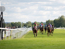 MONDAY RACING TIPS