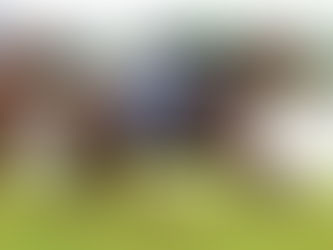 MAGIC TO HAPPEN AT PONTE