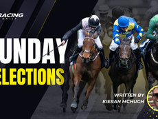 SUNDAY SELECTIONS