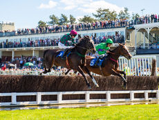 MONDAY RACING TIPS