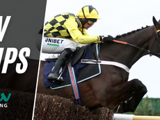 TV TIPS (SATURDAY)