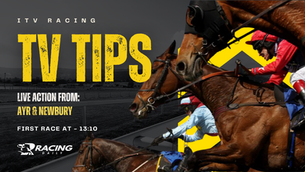 TV TIPS (SATURDAY)