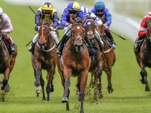 LADY TO FINISH FIRST FOR FRANKIE