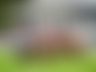 WEDNESDAY RACING TIPS