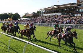 PADDOCKS PATENT (WEDNESDAY)