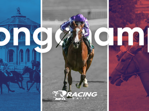 LONGCHAMP ARC FESTIVAL