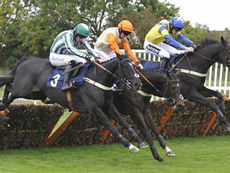 TUESDAY RACING TIPS