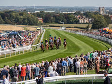 TUESDAY RACING TIPS